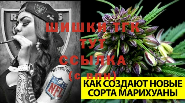 2c-b Надым