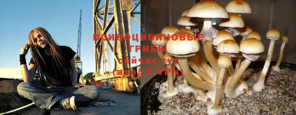 ешки Корсаков