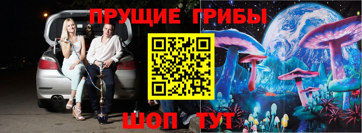 Псилоцибиновые грибы Cubensis Мытищи