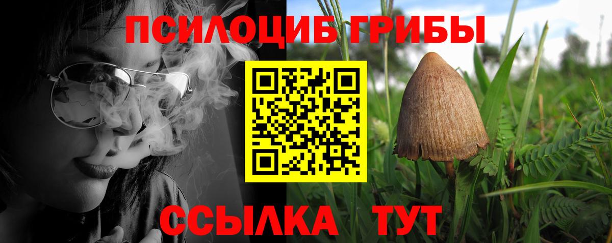 Мытищи  Галлюциногенные грибы прущие грибы  Галлюциногенные грибы прущие грибы  Вход с VPN 